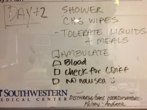 This is a list of my activities for the day. Got some of them done, some not. 