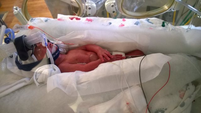 13223408_10208259592481232_126607342_o