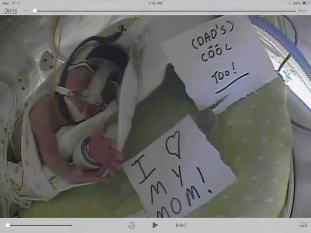 893454_10203083213995005_958989936355853265_o