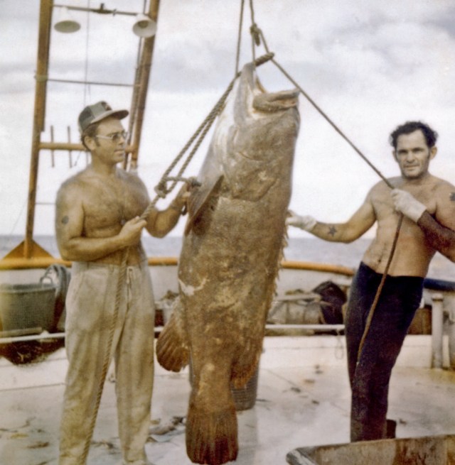 matagorda fishing shrimping boat
